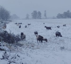 Death toll in flooding jumps to 49
