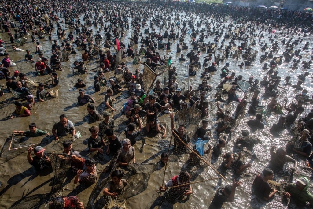 People use nets to catch about 2 tonnes of fish released for free by municipal workers during Memed Ikan, an annual traditional fish-catching festival held to give thanks to God for the abundance of fish harvests, at the Gemblegan Reservoir in Klaten, Central Java.