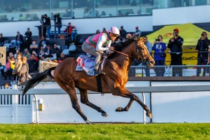 All eyes on Greyville as Durban July race day arrives