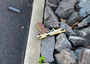 Vermeende rower in hospitaal ná hy swanger ma en kleuter beroof