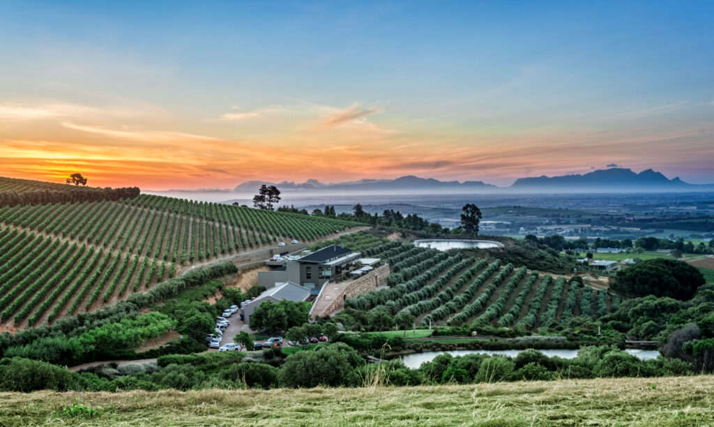 Win tourism is the next big thing in South Africa's economy.