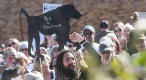 Activists march in Simon’s Town to stop removal of Cape Peninsula baboons