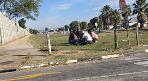 Reward of R5 000 offered to find perpetrators in baboon slaughter video