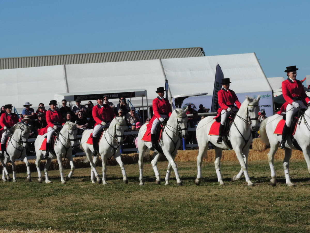 NAMPO Kaap gaan weer eens iets vir almal bied