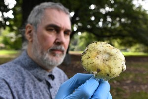 Mushroom murderer also attempted to poison husband, court hears