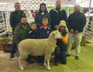 Duurste ram op veiling vir meer as R80 000 verkoop