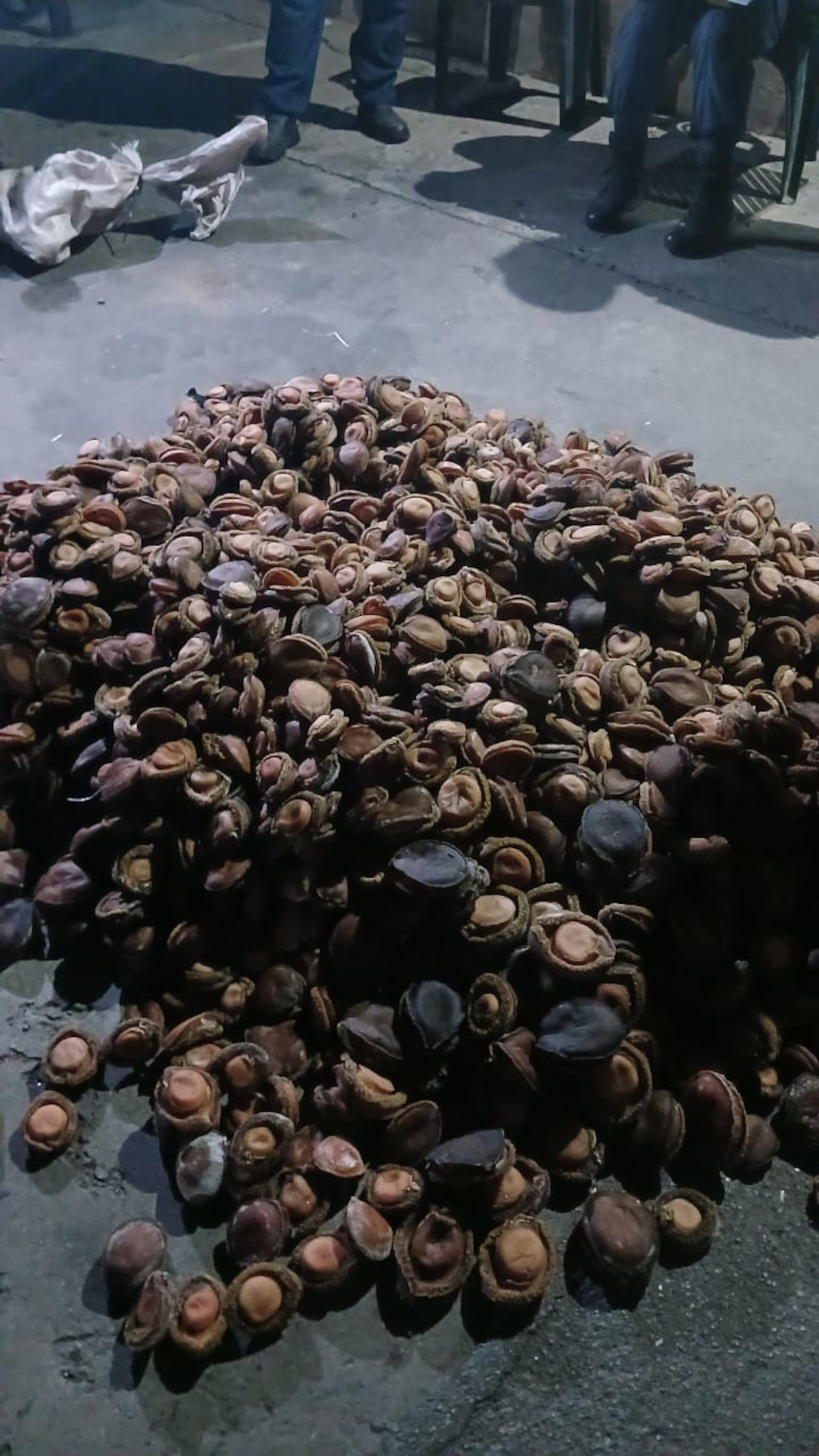 ‘n Roetine padblokkade wat die Worcester-polisie se honde-eenheid Donderdagmiddag (21 Augustus) saam met die verkeersafdeling gehou het, het 'n stinkerige vonds opgelewer toe hulle op sakke vol perlemoen afkom.