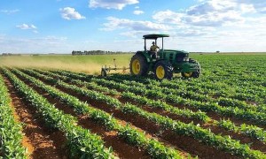 SA needs new strategy to increase agri-food exports to EU