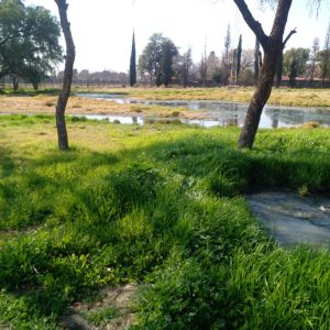 Two prominent schools drowning in sewerage