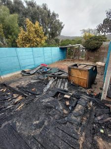 Fire ravages Tears animal shelter in Vrygrond — urgent help needed for displaced dogs