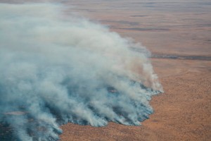 WATCH: Massive blaze in Etosha National Park contained leaving one-third of the reserve devastated