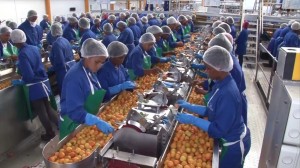 Ashton factory saved: New owners secure 3 000 jobs