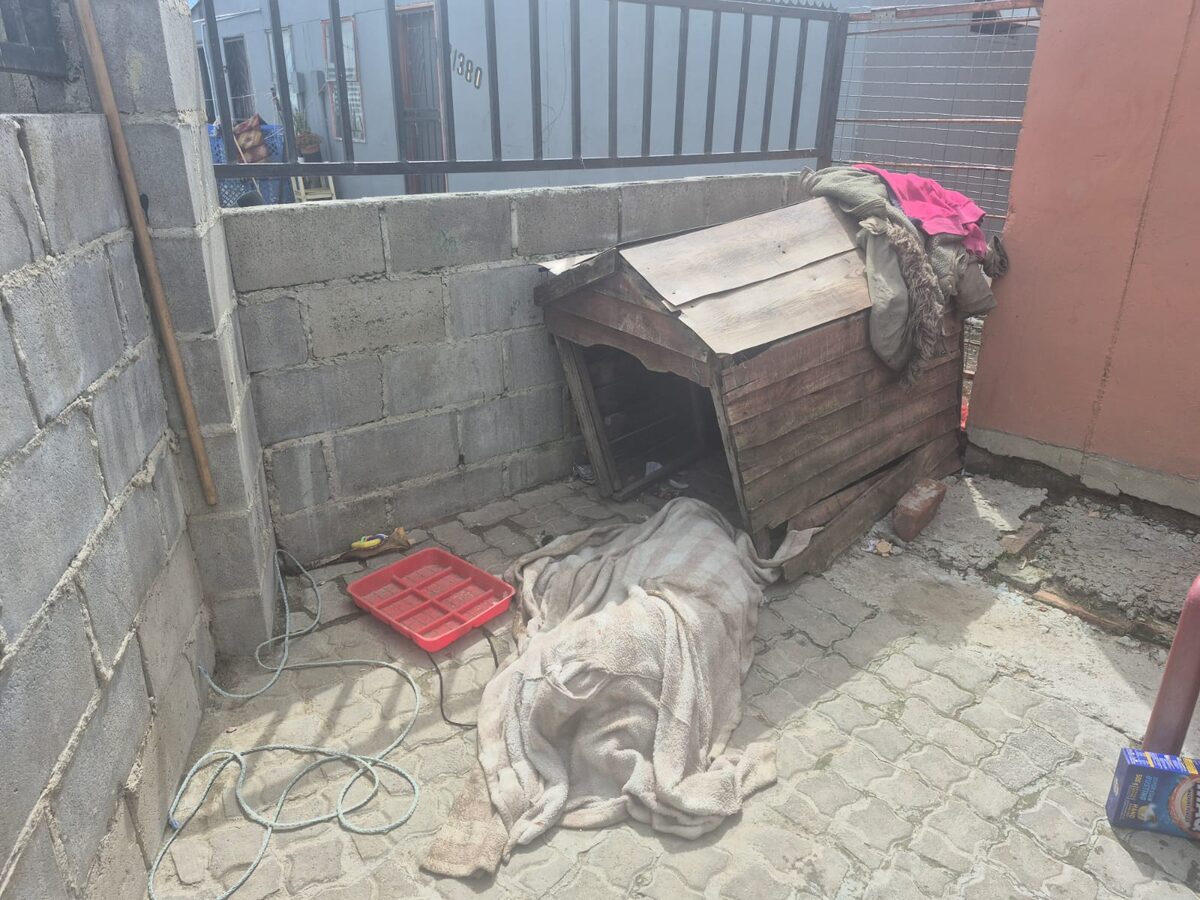 Dog deaths probed after mass poisoning tragedy