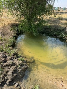 The time has come to end failed governance and restore dignity, health, and safe water to the Free State