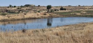 Water as constitutional right flouted while Matjhabeng residents face ongoing restrictions