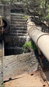 Calls for Free State government to be held responsible for sewage spills