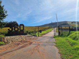 Bloemendal weer onder die hamer