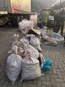 Polisie lê beslag op miljoene rande se perlemoen naby Rawsonville