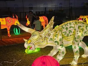 Glow Festival clients left in the dark – again