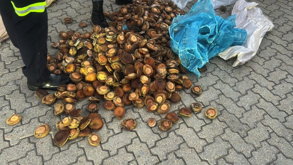 Perlemoen gevind op N1