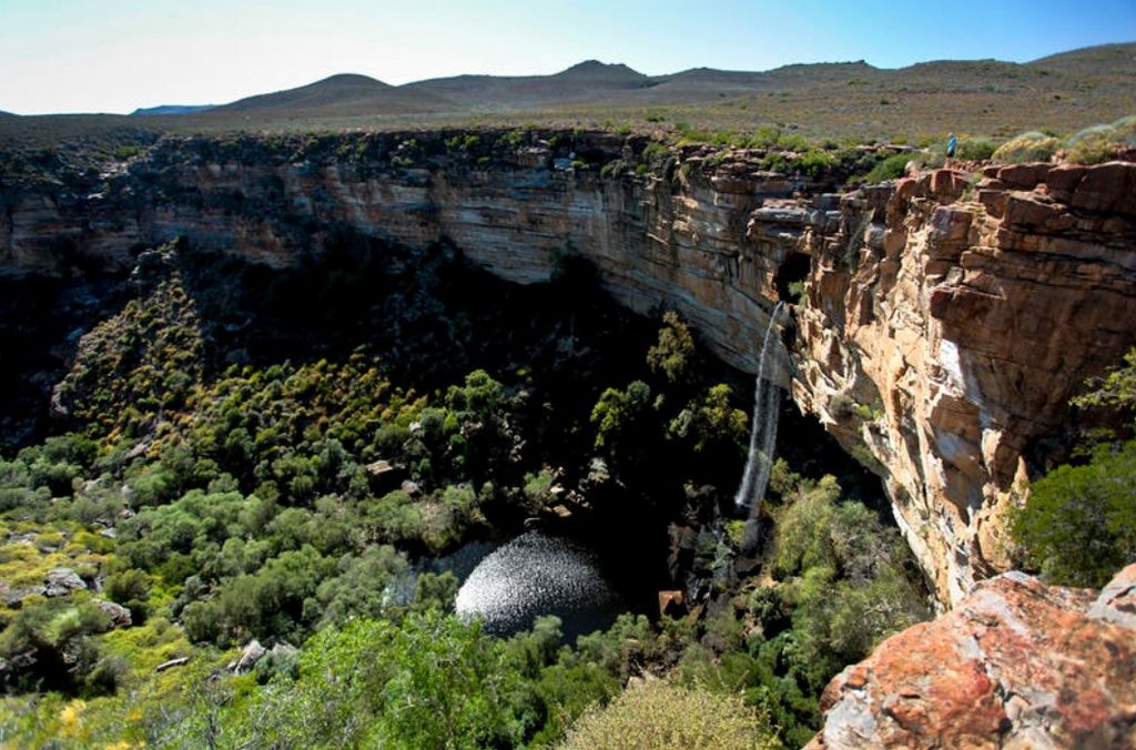 A sophisticated international criminal network is systematically stripping South Africa's unique flora from its natural habitat, with the critically endangered Clivia mirabilis becoming the latest victim in a growing environmental crime wave that spans more than 170 countries.