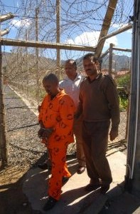 Boek oor bendes geskryf