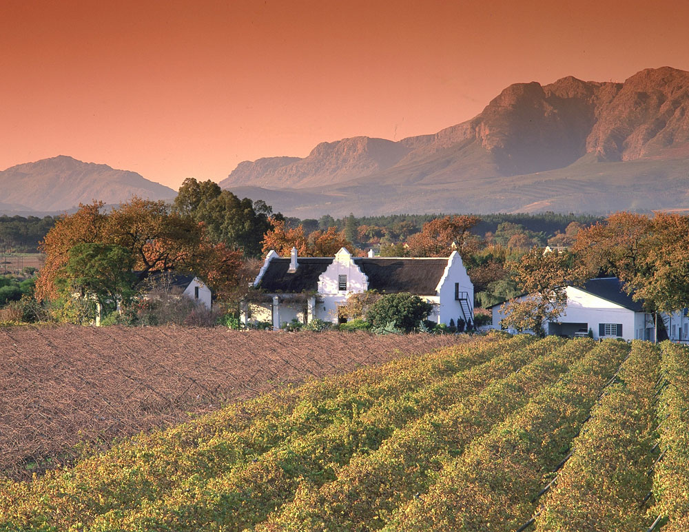 Wine tourism in 2025: South Africa leads the way for budget conscious travelers