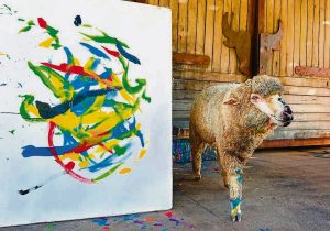 Search continues for missing painting sheep Baanksy