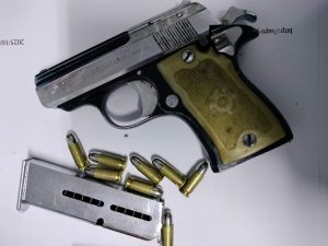 Openbare orde-polisie maak vordering in stryd teen misdaad