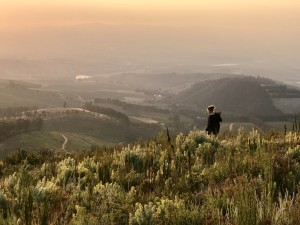 Historic Stellenbosch wine estate launches new hiking trail network