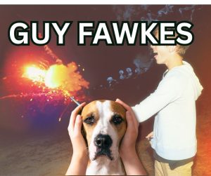 Downturn in illegal discharge of fireworks and Guy Fawkes marauding mobs