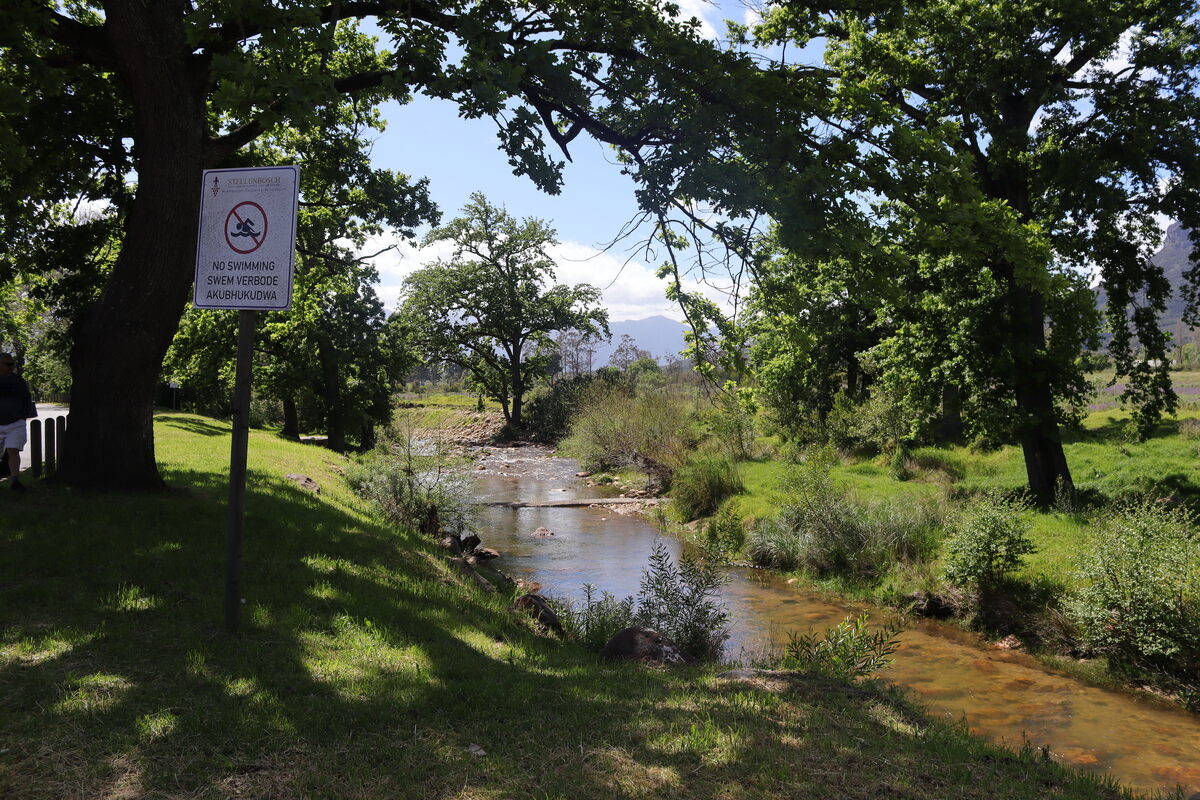 Die Stellenbosch-munisipaliteit maan inwoners om nie in die Dwarsrivier te swem nie. Foto: Yaël Malgas