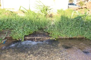 Leak tied to water challenges, infrastructure failures in Kariega