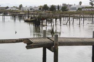 ‘Herstel nou die Rooibaai-kaai’