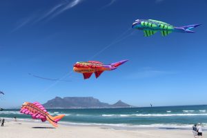 WATCH | Mental health awareness: Cape Town international kite festival highlights trauma and healing