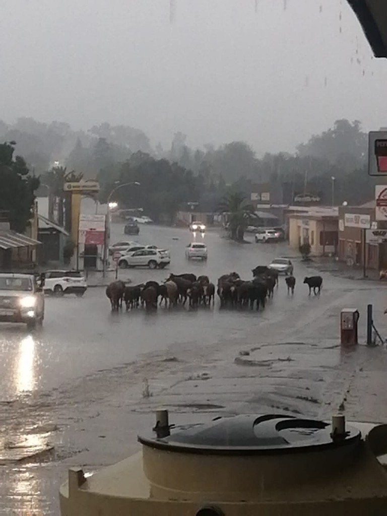 Mafube Local Municiaplity has only one bylaw in place