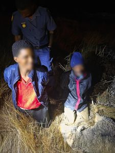 Twee vermeende veediewe buite Wellington aangekeer