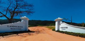 Nuwe wynhoofstuk vir Landskroon en Survivor Wines