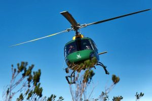 SANParks revenue hits record R4.1 billion in 2024