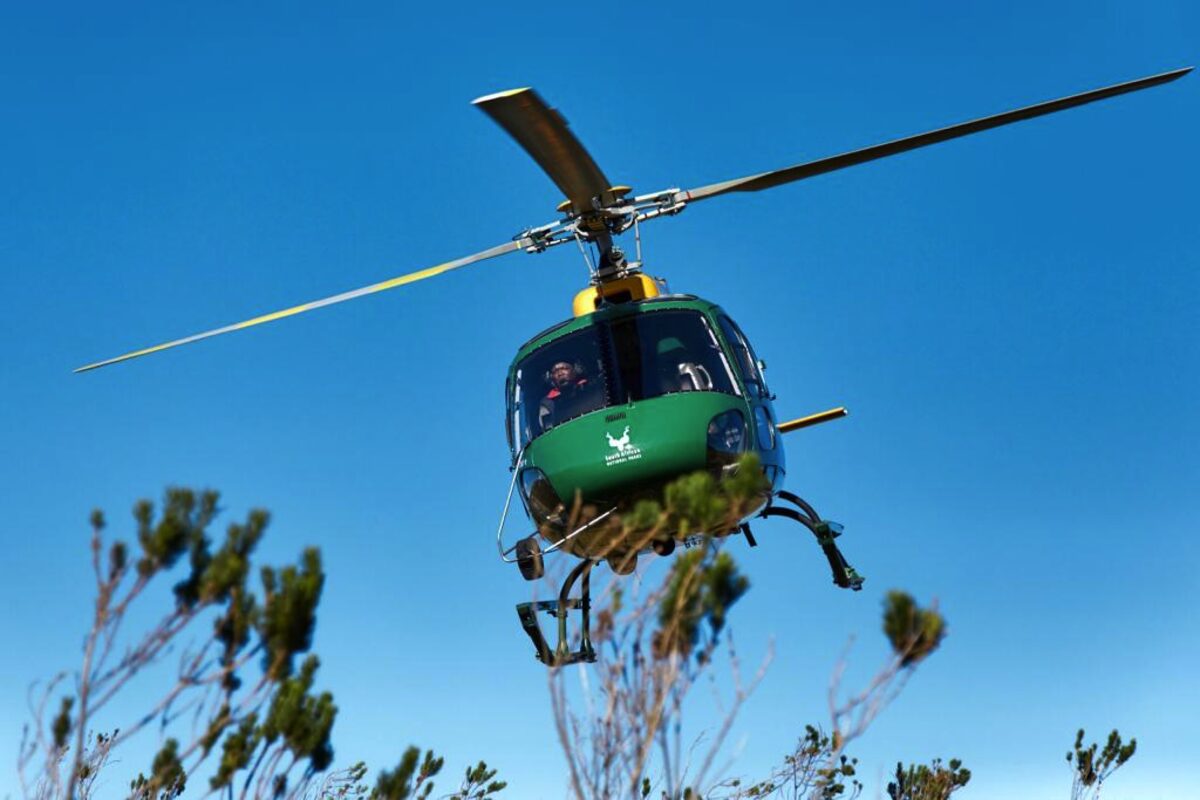 SANParks revenue hits record R4.1 billion in 2024