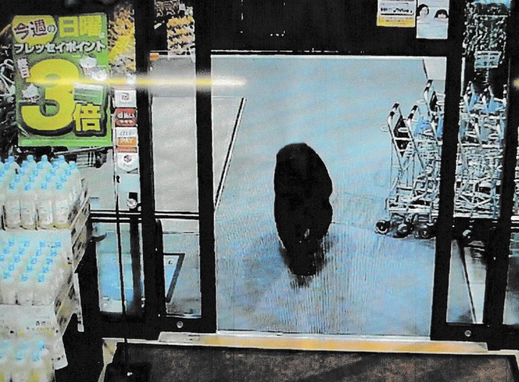 A Japanese prefecture governor made an unprecedented call for military assistance Tuesday as deadly bear attacks across the country reached record levels, with 10 fatalities confirmed this year - surpassing the previous high of six deaths.