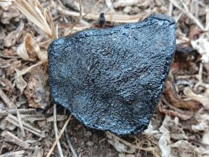 How scientists traced a meteorite back to the Asteroid Belt