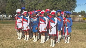 Kaapse trompoppies kry WP-kleure