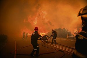 Cape Town wildfire risk rises in Southern Suburbs