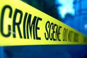Elderly couple assaulted during nighttime burglary
