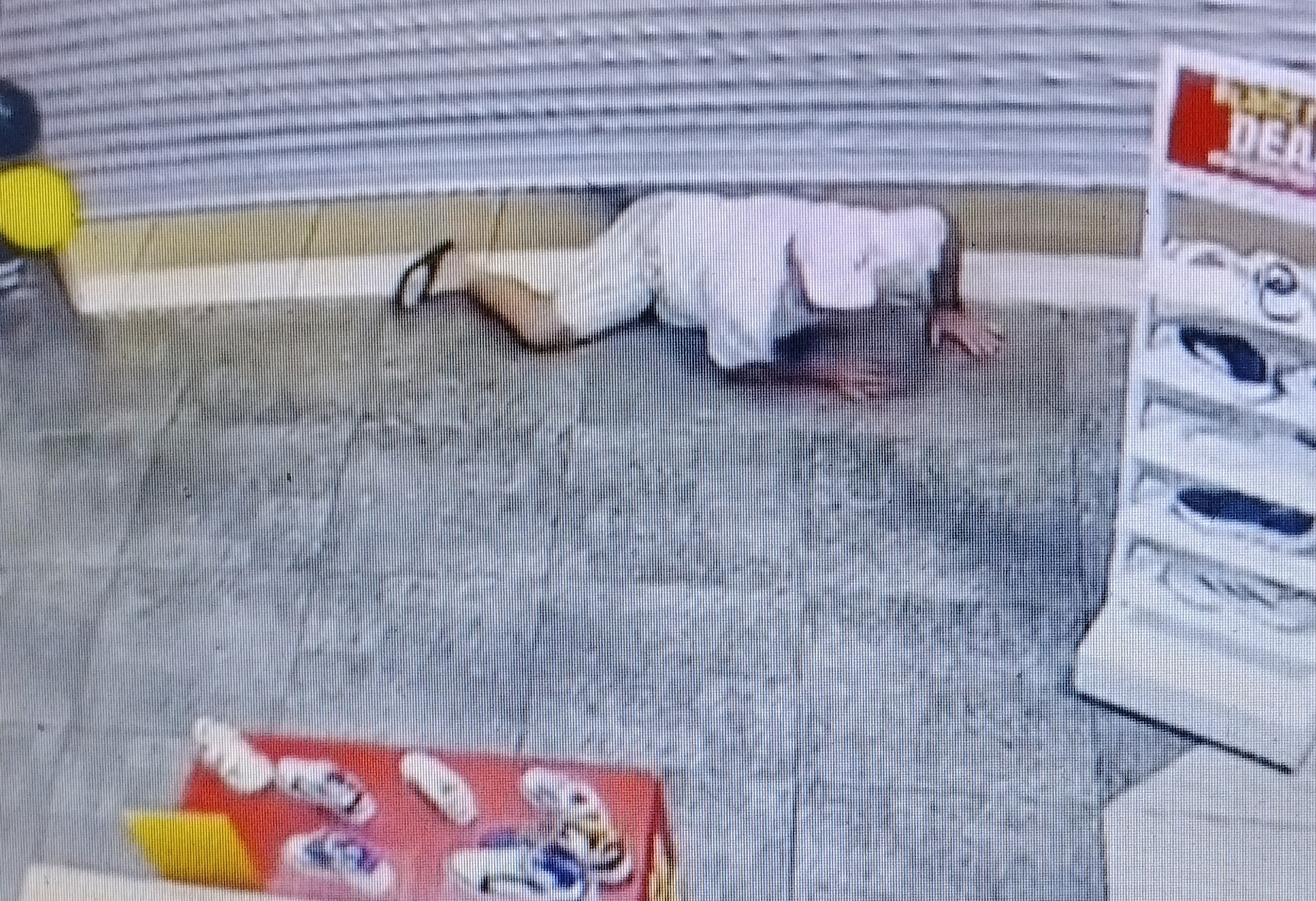Video wys hoe Hein Gerber onder 'n roldeur deurglip tydens 'n rooftog in Mimosa Mall in Bloemfontein.