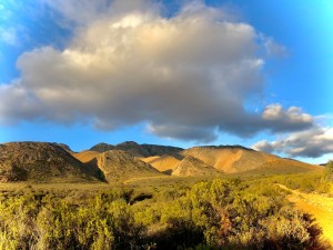 Succulent Karoo gains new protector: Lettas Kraal Nature Reserve declared