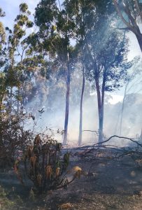 Multiple fires contained across Cape Winelands District
