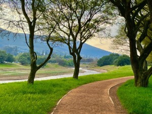 Seuns oorval by Paarl Arboretum, vlug deur Bergrivier