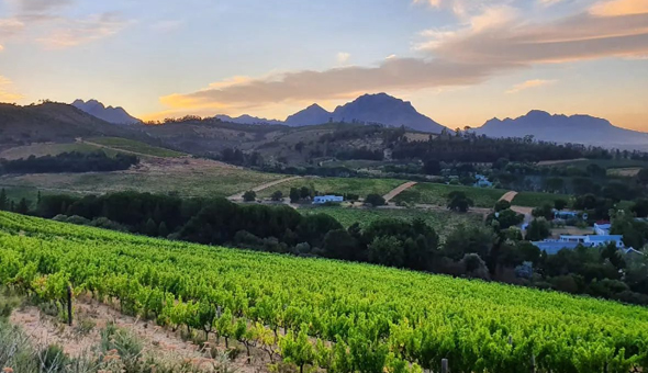 Residents and local stakeholders are being invited to comment on ambitious plans to develop part of the historic Altydgedacht wine farm in Durbanville — one of the largest residential projects planned for Durbanville in recent years.The public participation period will run until 9 January next year. 
The proposed mixed-use development would see approximately 105 ha of the 260 ha farm transformed into a new residential community, whilst preserving the majority of the property for continued agricultural use and conservation, according to the executive summary of the second draft basic assessment report, which was issued on Friday 14 November.